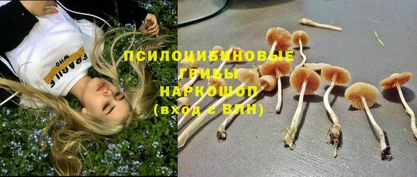 дурь Касимов