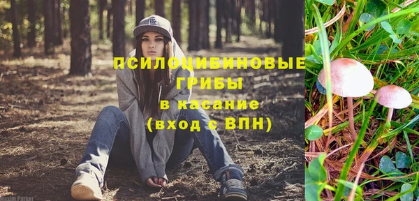 a pvp Карпинск